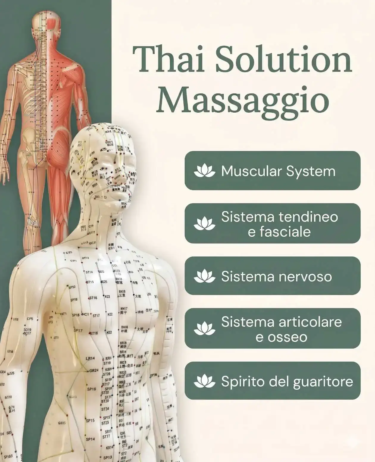 thai solution